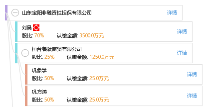 山東寶陽非融資性擔保業(yè)務(wù)解析