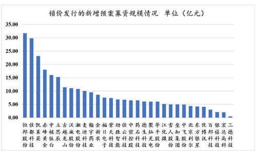 再融資新政下非公開發(fā)行戰(zhàn)略投資者深度研究 聚焦非融資性擔(dān)保機(jī)構(gòu)的角色與挑戰(zhàn)